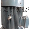 供应振宇ZYL005专用电机