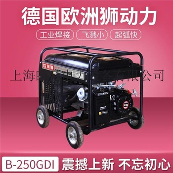 250a汽油发电电焊两用机价格