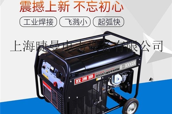 300a發(fā)電電焊兩用機多少錢