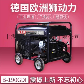 户外施工190a发电电焊两用机