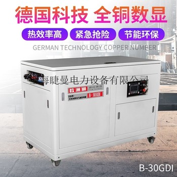 40千瓦静音箱式汽油发电机