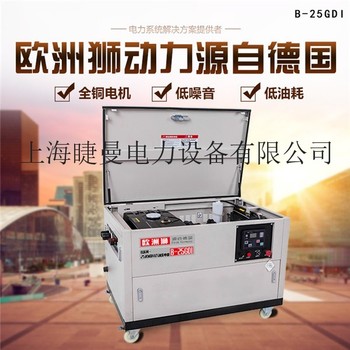 25kw移动式汽油发电机报价