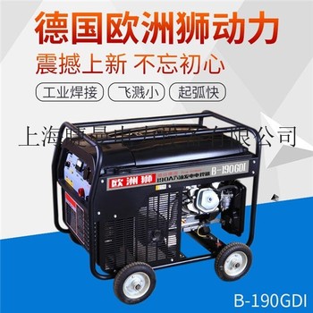 汽油190a发电电焊一体两用机