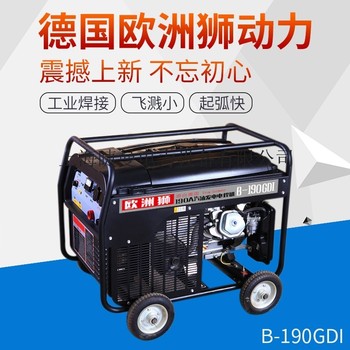永磁190A发电电焊机3.2焊条