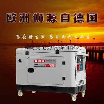 供应欧洲狮5千瓦便携式柴油发电机