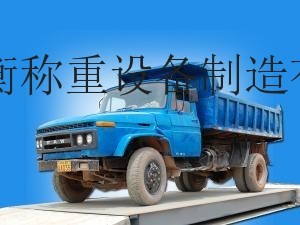 地磅那个品牌比较好 上海鹰衡 您不二的选择 规格齐全