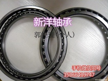 供应XYWJ挖掘机轴承