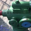 供应铸钢3QGB90*2-46沥青喷洒泵车液压螺杆泵