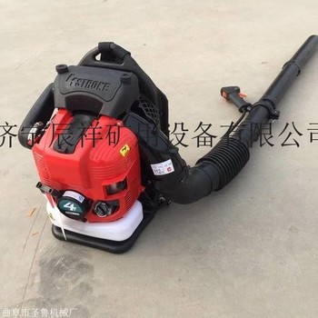 供应辰祥背负式吹雪机扫雪机