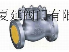 德国KSB凯士比ANSI标准止回阀