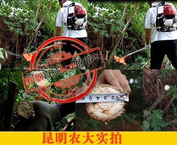 供应本田BG435其他   割灌机四冲程背负式割草机140汽油机打草4冲程收割机