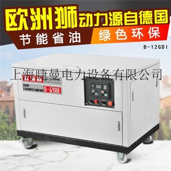 12千瓦车载静音汽油发电机尺寸小