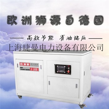 四缸水冷50千瓦静音汽油发电机