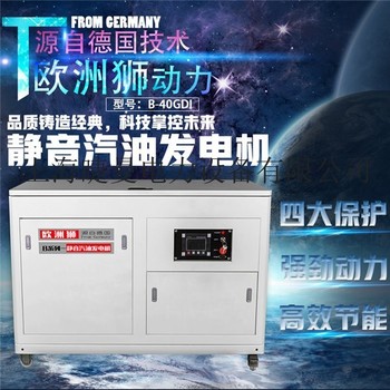 单位使用40千瓦汽油发电机