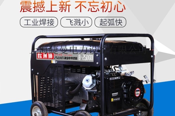 本田B-250GDI发电电焊机GX390
