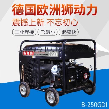 本田B-250GDI发电电焊机GX390