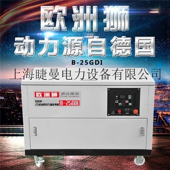 25千瓦移动式汽油发电机