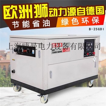25千瓦移动式汽油发电机