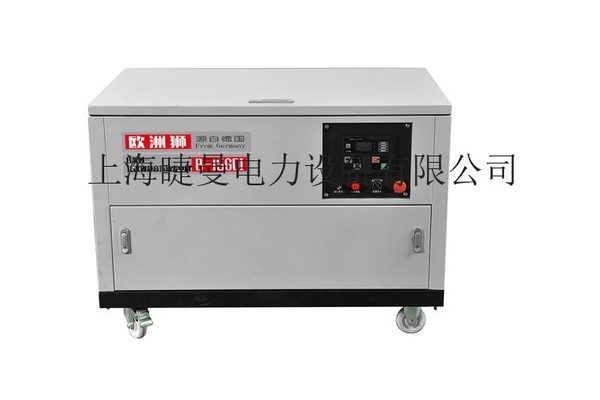 供應(yīng)15千瓦全自動(dòng)汽油發(fā)電機(jī)組廠家