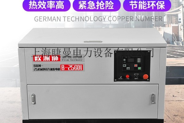 上海25千瓦靜音汽油發電機