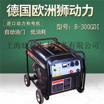 中石化采购300A汽油发电电焊机