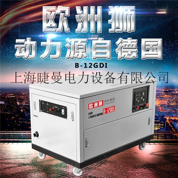 山区应急12KW小型汽油发电机