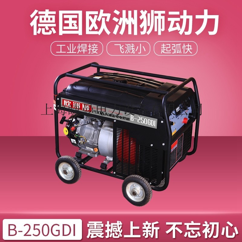 250A本田發電電焊機圖片參數