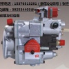 供应山推K1904-HD180-4陕工局发动机PT燃油泵总成3419466