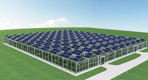 供應YOLI太陽能智能溫室