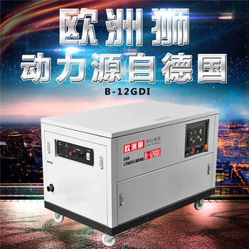 12千瓦静音汽油发电机