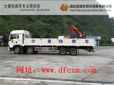 检衡车汇斯诚牌DWJ5310JJHBB5