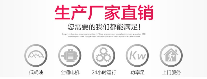 电启动10kw柴油发电机