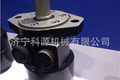 供应科源BM1挖掘机液压马达   液压摆线马达厂家