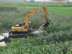 供应水陆两用挖掘机 湿地清淤设备