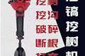山东鲁派重工有限公司
