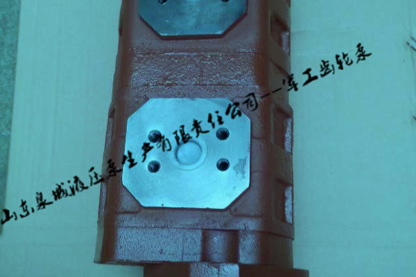 上海打桩机 专用液压齿轮泵|济南军工厂专业制造