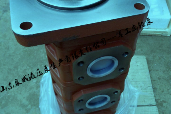 恒天九五钻机 专用液压齿轮泵|济南军工厂专业制造