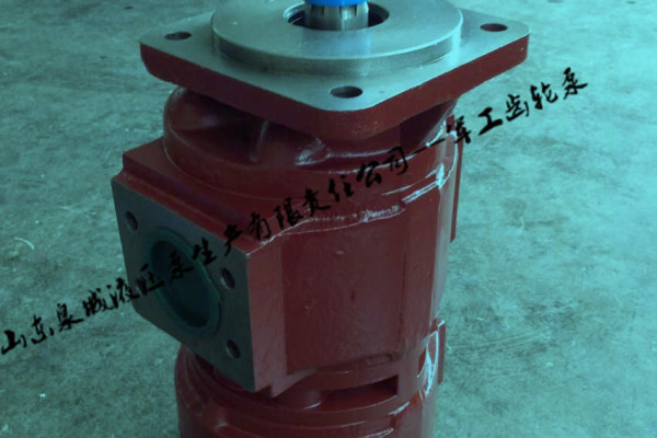 湖北恒力扒渣機 專用液壓齒輪泵|濟南軍工廠專業製造