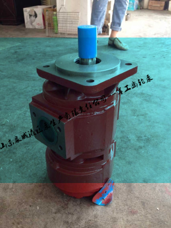 湖北恒力扒渣機 專用液壓齒輪泵|濟南軍工廠專業製造