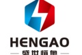 山东恒奥能源科技有限公司
