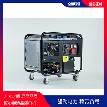 供应欧洲狮400A发电电焊两用机