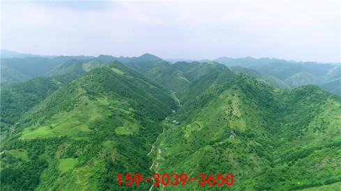 徐州矿山生态修复施工队