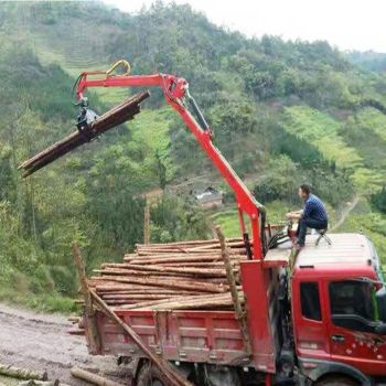 雲南抓木機廠家 出售6米遠吊800斤抓木機 輕卡抓蔗機