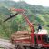 云南抓木机厂家 出售6米远吊800斤抓木机 轻卡抓蔗机
