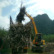 小型装载机厂家 按需定做农用三轮抓木机 液压传动抓木机