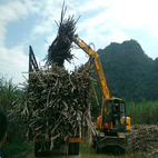 福建抓木机厂家 供应抓蔗机 抓草机 360度旋转抓木机