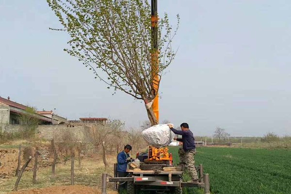 供應25馬力三輪隨車吊 28馬力三輪平板吊 陝西背背吊廠家