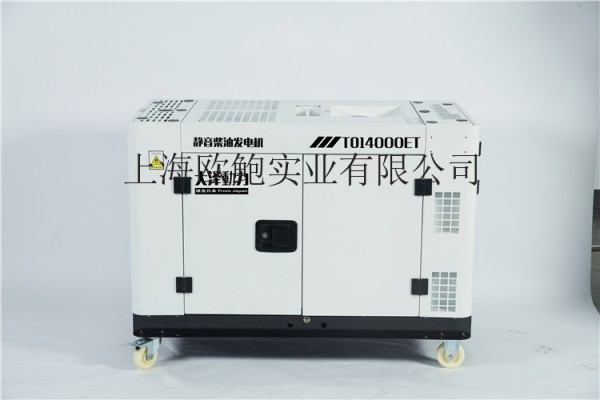 10kw柴油發電機AC220/380V