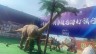 出租華盛遊樂房地產活動大型恐龍展出租恐龍展廠家出售其他