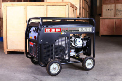 供应欧洲狮250A汽油电焊发电一体机
